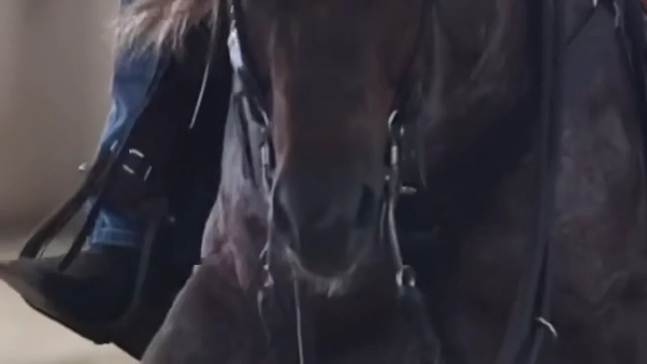 The real horse filling the screen behind the statement.